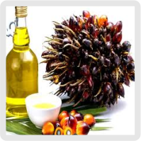 روغن پالم خام