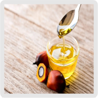 روغن تصفیه شده هسته پالم